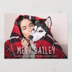 Unsere neue einfache Foto-Mitteilung des Einladung