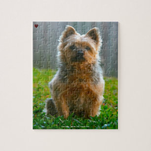 Unsere Silky Terrier unser Haustier Puzzle
