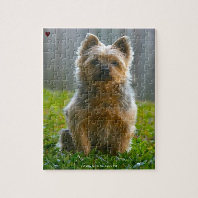 Unsere Silky Terrier unser Haustier Puzzle (Vertikal)