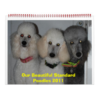 Unsere wunderschönen Standard Poodles 2011 Kalender