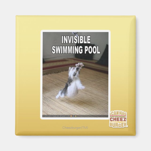 Unsichtbarer Pool Magnet (Vorne)