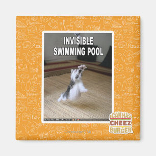 Unsichtbarer Swimmingpool Magnet