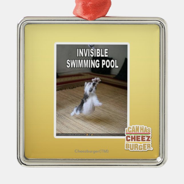 Unsichtbarer Swimmingpool Silbernes Ornament (Vorne)