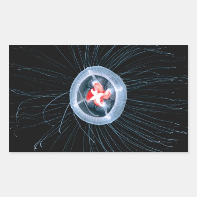 Unsterbliche Rechteckkleber Rechteckiger Aufkleber (Vorderseite)