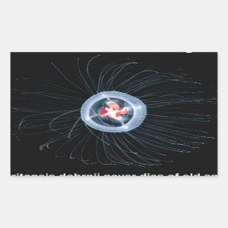 Unsterbliche Rechteckkleber Rechteckiger Aufkleber