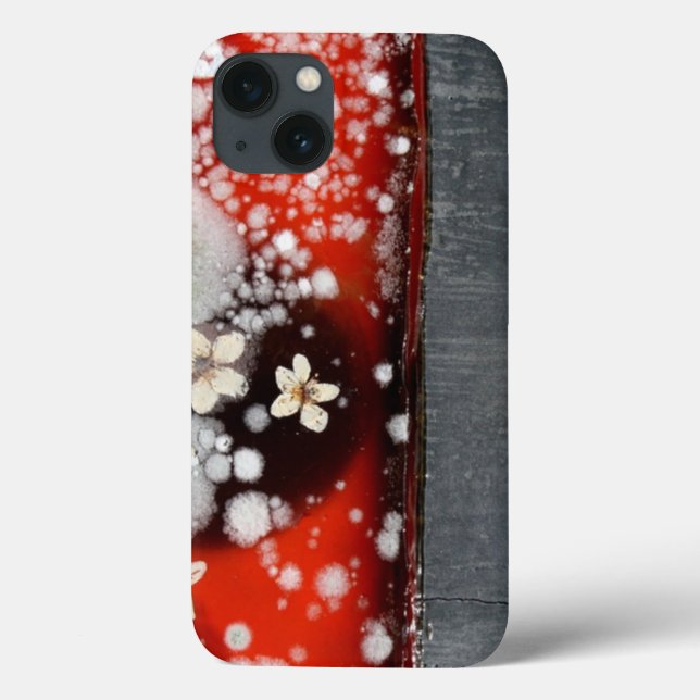 Unsterblichkeit 2 Case-Mate iPhone hülle (Rückseite)