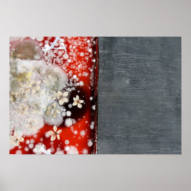 Unsterblichkeit 2 poster (Vorne)