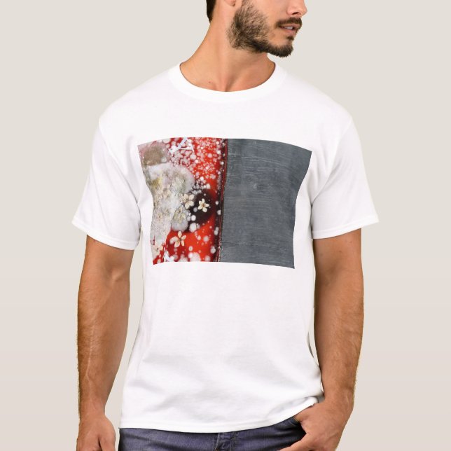 Unsterblichkeit 2 T-Shirt (Vorderseite)