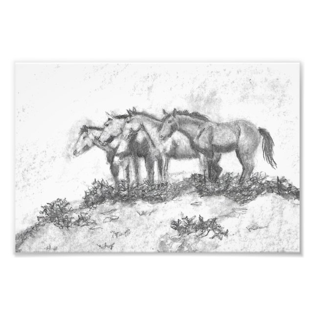 Untamed Fotodruck (Vorne)