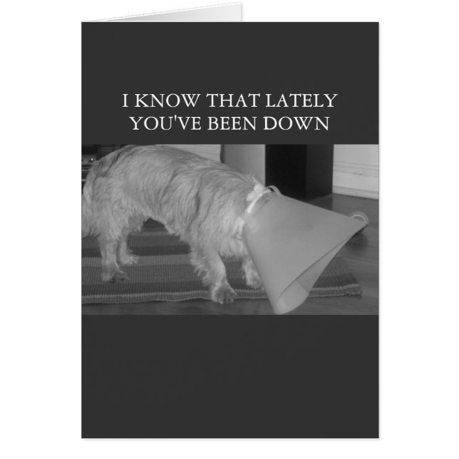 unten in den Dumps (Vorne)