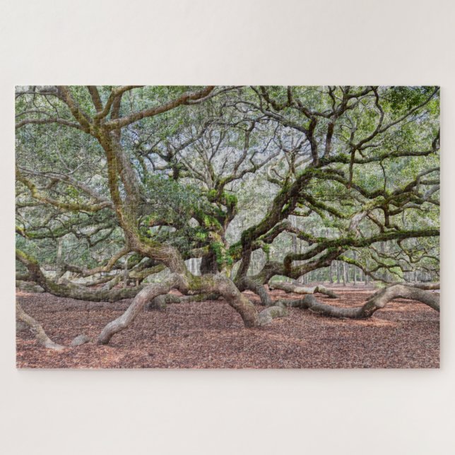 Unter Angel Oak, South Carolina Puzzle (Horizontal)