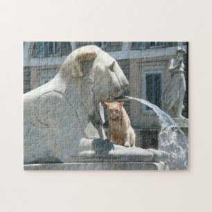 Unter dem Brunnen, Grumpy Cat in Rom! Puzzle