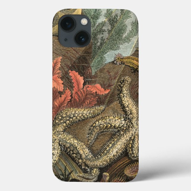 Unter dem Meer Case-Mate iPhone Hülle (Rückseite)
