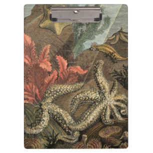 Unter dem Meer Klemmbrett