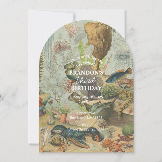 Unter dem Meeresmeer Tierschutzrückgabe zum Geburt Einladung (Vorderseite)