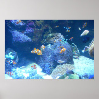 Unter dem Meeresschild Poster