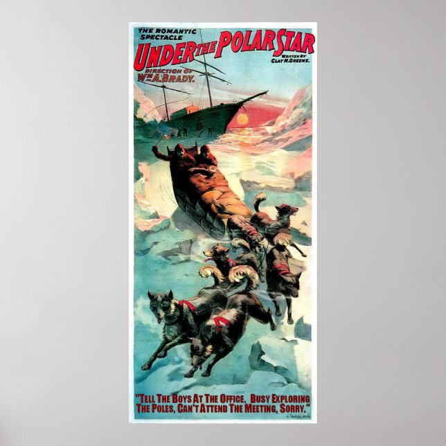 UNTER DEM POLARSTAR POSTER (Vorne)