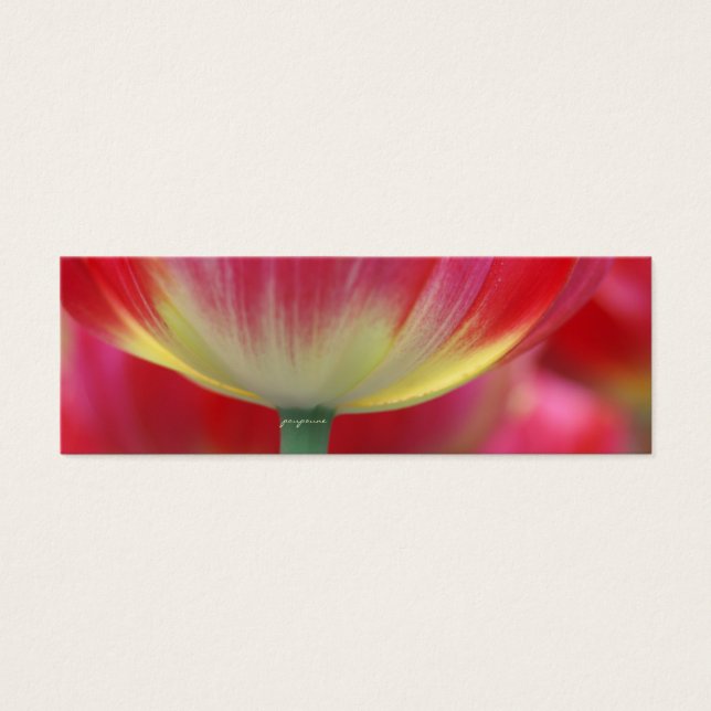 unter dem Rock von Tulpen (Vorderseite)