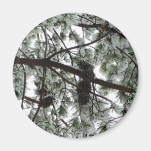 Unter dem schneebedeckten Kiefernbaum Winterfoto Magnet