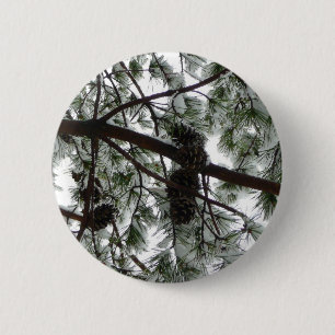 Unter dem schneebedeckten Kiefernwald WinterFoto Button