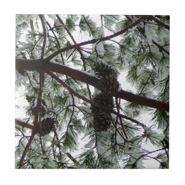 Unter dem schneebedeckten Kiefernwald WinterFoto Fliese (Vorderseite)