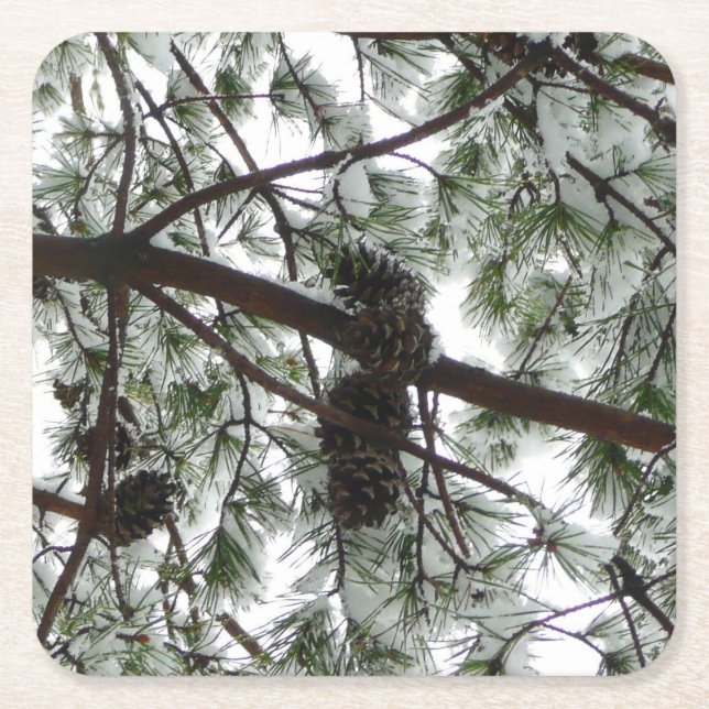 Unter dem schneebedeckten Kiefernwald WinterFoto Rechteckiger Pappuntersetzer (Vorderseite)