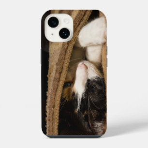 Unter dem Teppich spielen iPhone 14 Hülle