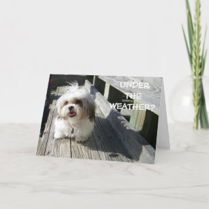 UNTER DEM WETTER? KARTE