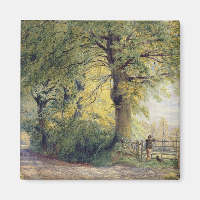 Unter den Buchen Magnet (Vorne)