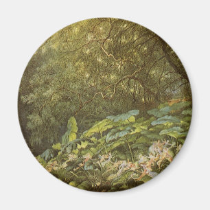 Unter den Dock-Blätter von Richard Doyle, Fairy Ar Magnet