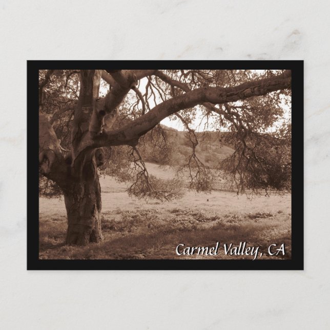 Unter den Eichen Postkarte (Vorderseite)