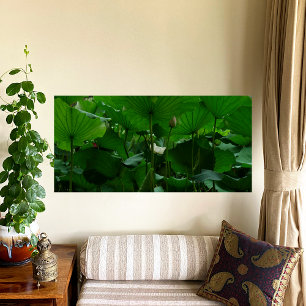 Unter den Lotus-Blätter Fotodruck