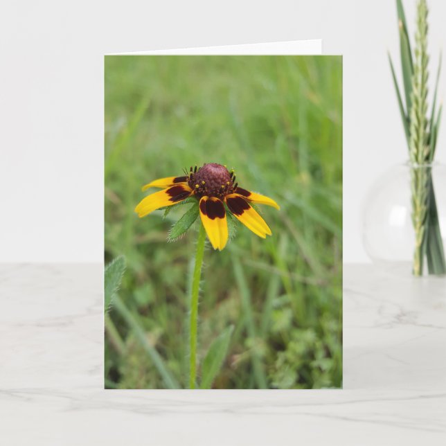 Unter den Wildblumen Notecards (freier Raum nach Karte (Vorderseite)