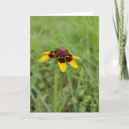 Unter den Wildblumen Notecards (freier Raum nach Karte