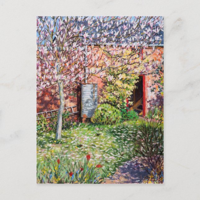 Unter der Magnolia Postkarte (Vorderseite)