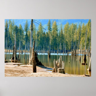 Unter der Wasserlinie steigen die Klebstoffe an Poster