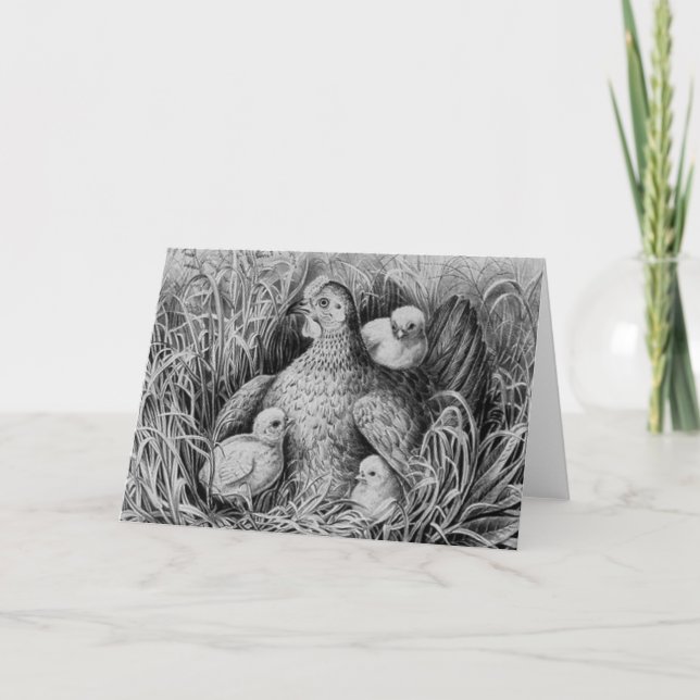 Unter der Wing Card der Mutter Karte (Vorderseite)