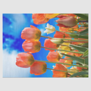 Unter einem Tulip Sky Seidenpapier