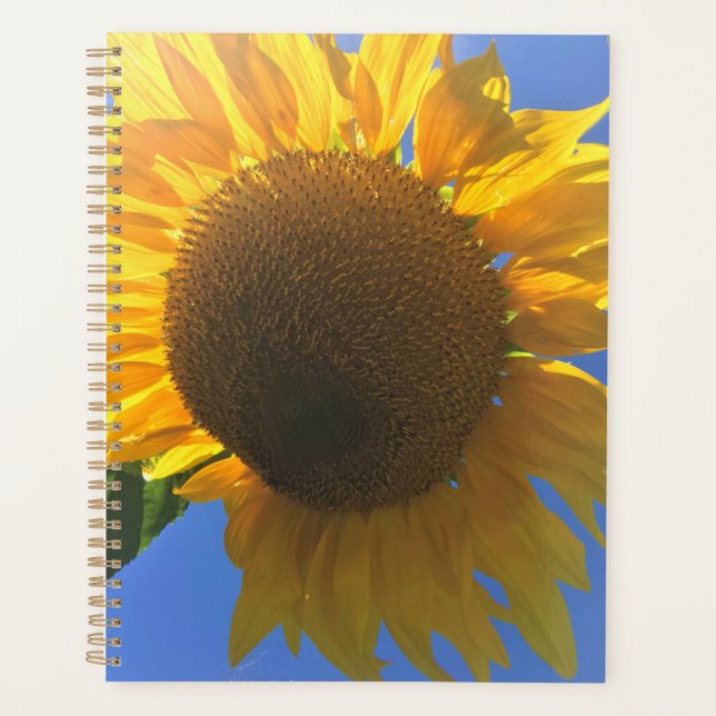 Unter einer Sonnenblume Planer (Vorderseite)