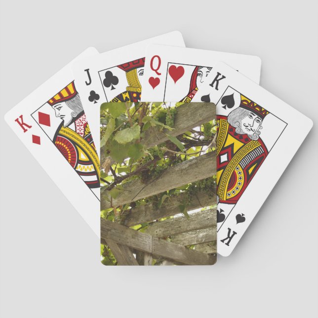 Unter einer Überdachung der Trauben Spielkarten (Rückseite)