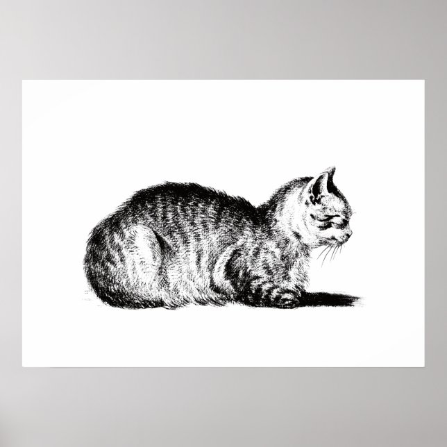 Unter Hinweis auf Katze, zu den links, Jean Bernar Poster (Vorne)