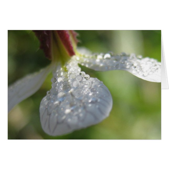 Unter meiner Schirmkarte (Vorderseite (Horizontal))