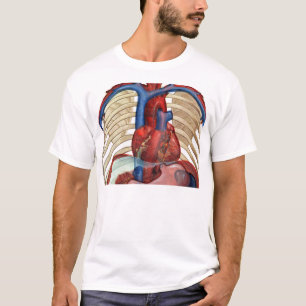 Unter Shirt