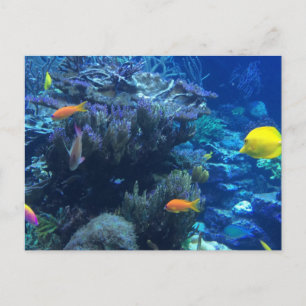 Unter Wasser Welt und Sommergeschichte Postkarte