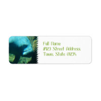 Unter "Wassermanateure" Mailing Labels