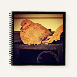 Unterbrechung Notizbuch