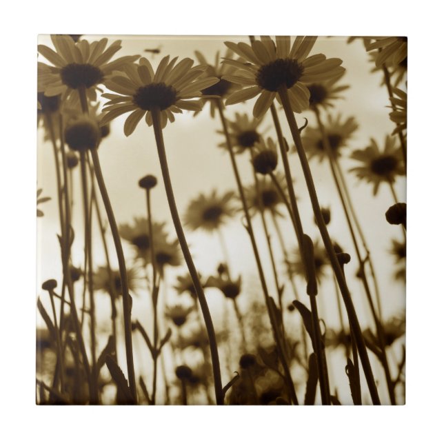 Untere Gänse Fliese (Vorderseite)