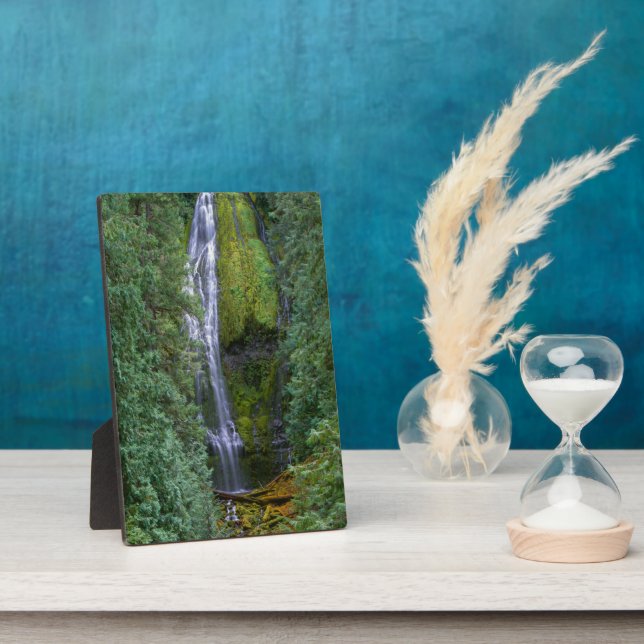 Untere Proxyfälle | Willamette National Forest Fotoplatte (Seite)