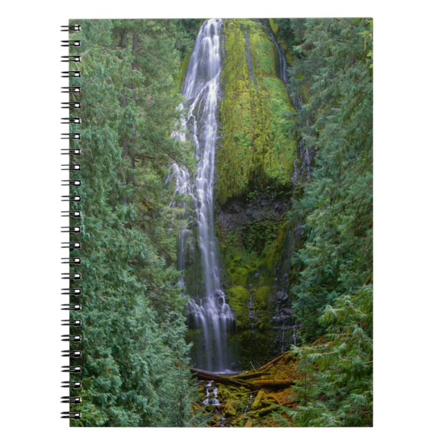 Untere Proxyfälle | Willamette National Forest Notizblock (Vorderseite)