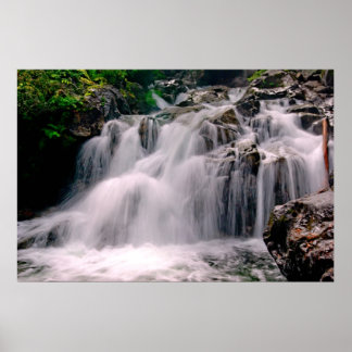 Untere Täuschungsfallen Poster